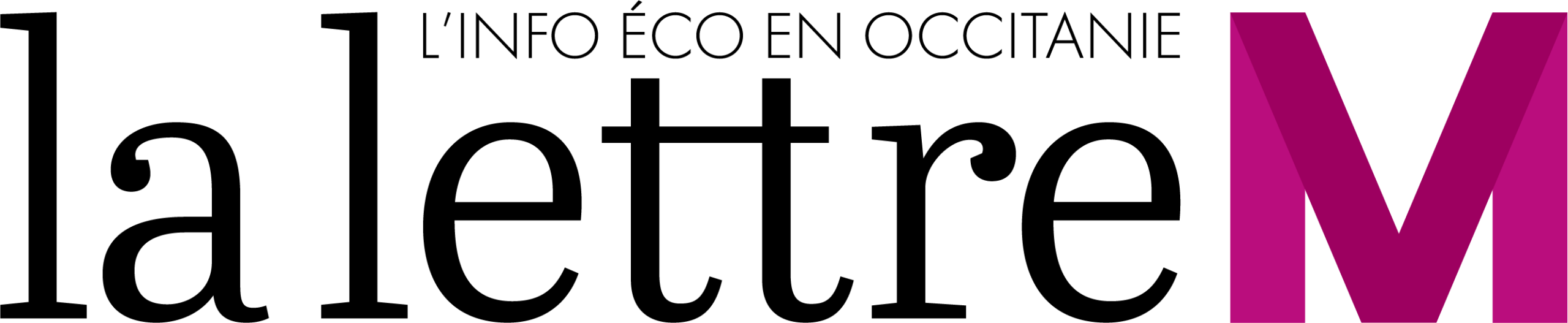 logo-Lettre-M